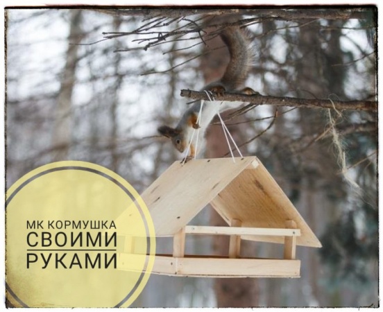Мастер-класс "Кормушка своими руками"