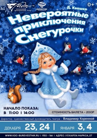  Новогоднее представление «Невероятные приключения Снегурочки»