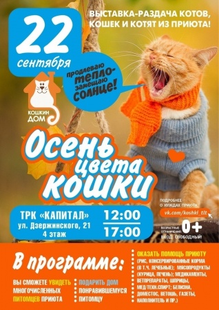 ÐÑÑÑавка-ÑаздаÑа коÑÑÑ Ð¸ коÑек