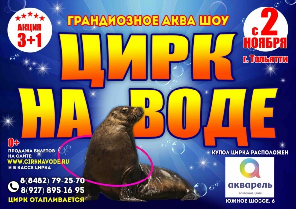 Ð¦Ð¸ÑÐº Ð½Ð° Ð²Ð¾Ð´Ðµ "Aqua Show" 