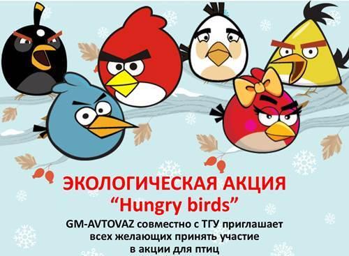 В Тольятти пройдет экологическая акция «Hungry birds»