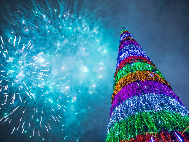 Стало известно, где в Тольятти можно будет отпраздновать Новый год