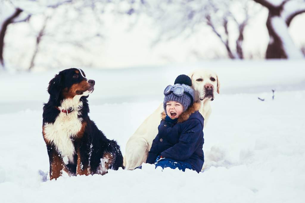 the-small-boy-and-dogs-sitting-on-the-snow.jpg